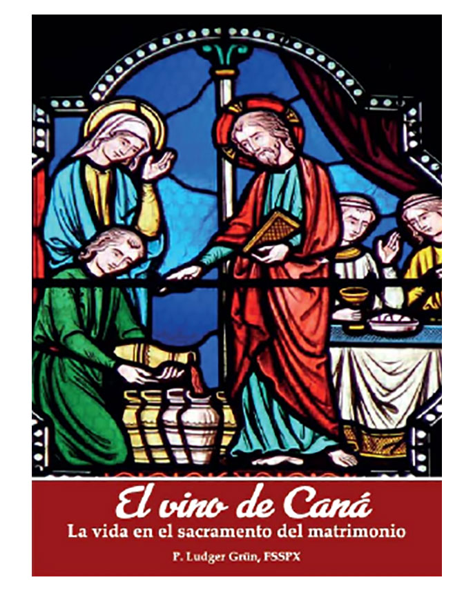 Vino de Caná: La santidad en el matrimonio - P. Ludger Grün
